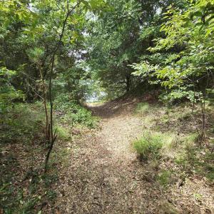 Photo #15 of 31 North Dune Loop, Southern Shores, NC 0.4 acres