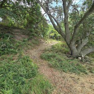 Photo #19 of 31 North Dune Loop, Southern Shores, NC 0.4 acres