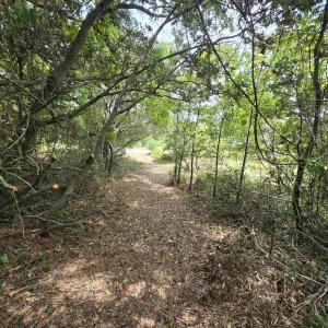 Photo #22 of 31 North Dune Loop, Southern Shores, NC 0.4 acres
