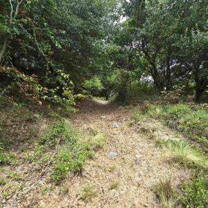 Photo #20 of 31 North Dune Loop, Southern Shores, NC 0.4 acres