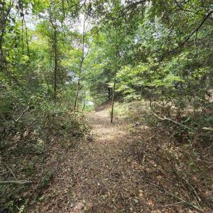 Photo #14 of 31 North Dune Loop, Southern Shores, NC 0.4 acres