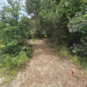 Photo #12 of 31 North Dune Loop, Southern Shores, NC 0.4 acres