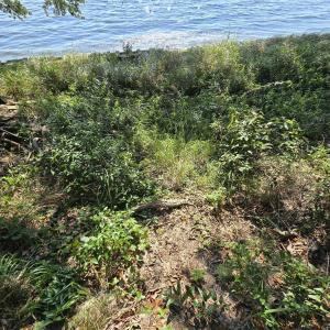 Photo #3 of 31 North Dune Loop, Southern Shores, NC 0.4 acres