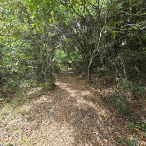 Photo #13 of 31 North Dune Loop, Southern Shores, NC 0.4 acres