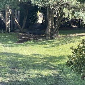 Photo #8 of 26197 Skip Jack Court, Salvo, NC 0.3 acres