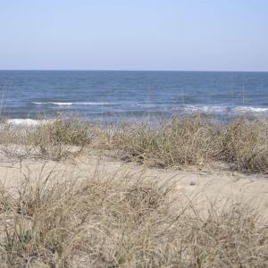 Photo #23 of 2301 Sandfiddler Road, Corolla, NC 0.8 acres