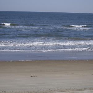 Photo #25 of 2301 Sandfiddler Road, Corolla, NC 0.8 acres