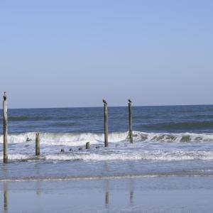 Photo #36 of 2301 Sandfiddler Road, Corolla, NC 0.8 acres