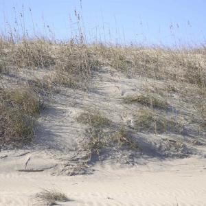 Photo #28 of 2301 Sandfiddler Road, Corolla, NC 0.8 acres