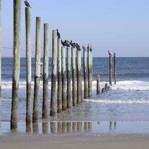 Photo #38 of 2301 Sandfiddler Road, Corolla, NC 0.8 acres