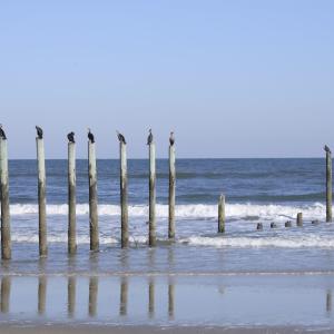 Photo #37 of 2301 Sandfiddler Road, Corolla, NC 0.8 acres