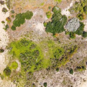 Photo #15 of 1633 Ocean Pearl Road, Corolla, NC 0.3 acres