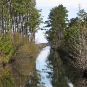 Photo #7 of 4161 Caratoke Highway, Barco, NC 92.4 acres