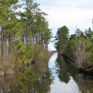 Photo #6 of 4161 Caratoke Highway, Barco, NC 92.4 acres