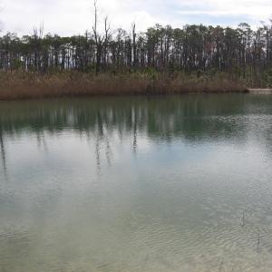 Photo #24 of 4161 Caratoke Highway, Barco, NC 92.4 acres