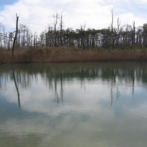 Photo #28 of 4161 Caratoke Highway, Barco, NC 92.4 acres