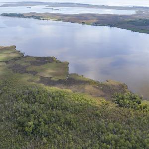 Photo #19 of 4161 Caratoke Highway, Barco, NC 92.4 acres