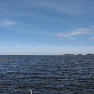 Photo #10 of 4161 Caratoke Highway, Barco, NC 92.4 acres