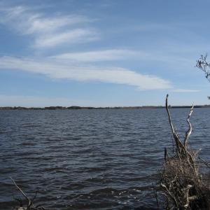 Photo #9 of 4161 Caratoke Highway, Barco, NC 92.4 acres