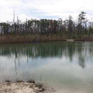 Photo #25 of 4161 Caratoke Highway, Barco, NC 92.4 acres