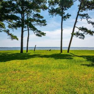 Photo #4 of 132 & 134 Swan Circle, Point Harbor, NC 0.6 acres
