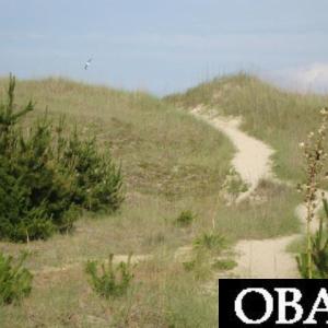 To the Beach