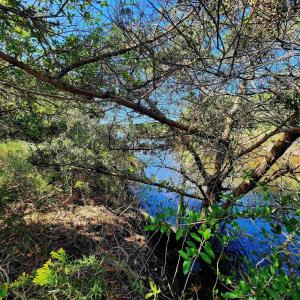 Photo #11 of 42195 Shallow Point Drive, Avon, NC 0.5 acres