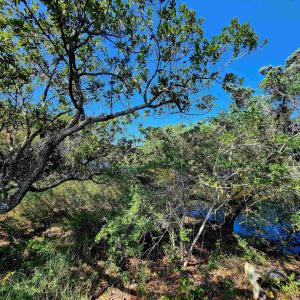 Photo #13 of 42195 Shallow Point Drive, Avon, NC 0.5 acres