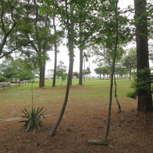 Photo #7 of 105 Mallard Court, Grandy, NC 0.5 acres