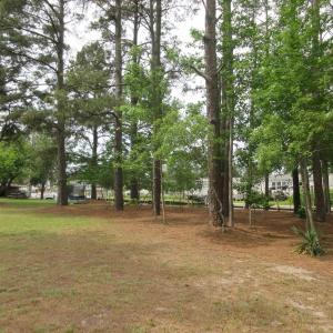 Photo #19 of 105 Mallard Court, Grandy, NC 0.5 acres