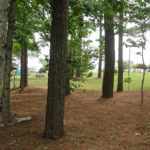 Photo #20 of 105 Mallard Court, Grandy, NC 0.5 acres