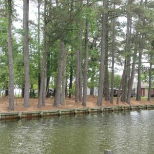 Photo #24 of 105 Mallard Court, Grandy, NC 0.5 acres