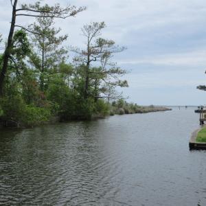 Photo #5 of 105 Mallard Court, Grandy, NC 0.5 acres