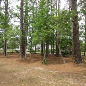 Photo #10 of 105 Mallard Court, Grandy, NC 0.5 acres