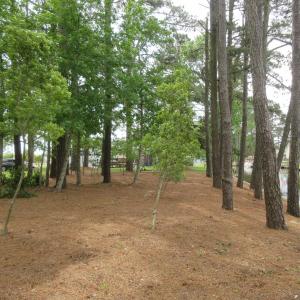 Photo #8 of 105 Mallard Court, Grandy, NC 0.5 acres