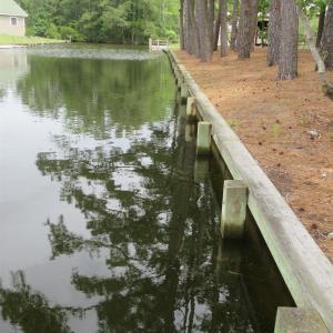 Photo #3 of 105 Mallard Court, Grandy, NC 0.5 acres