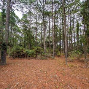 Photo #10 of 2343 Ocean Pearl Road, Corolla, NC 0.3 acres