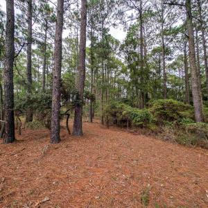 Photo #9 of 2343 Ocean Pearl Road, Corolla, NC 0.3 acres