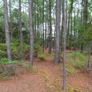 Photo #8 of 2343 Ocean Pearl Road, Corolla, NC 0.3 acres