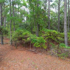 Photo #12 of 2343 Ocean Pearl Road, Corolla, NC 0.3 acres