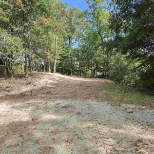 Looking from the street