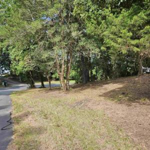 Looking down the street