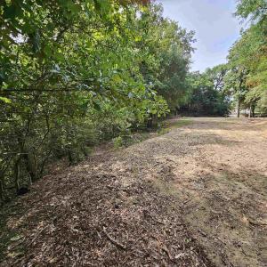 Looking from back of lot to the street