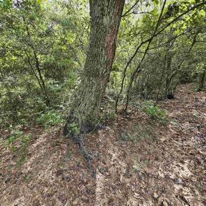 Photo #4 of 123 Sunrise Lane, Kill Devil Hills, NC