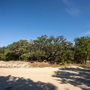 Photo #12 of 705 Mallard Road, Corolla, NC