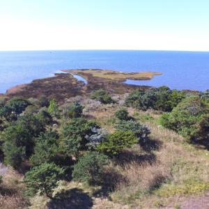 Photo #9 of 26182 Otter Way, Salvo, NC 0.5 acres