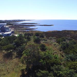 Photo #13 of 26182 Otter Way, Salvo, NC 0.5 acres