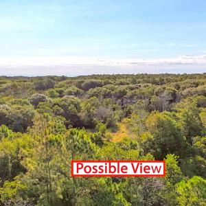 Photo #4 of 46207 Flowers Ridge Road, Buxton, NC 1.3 acres