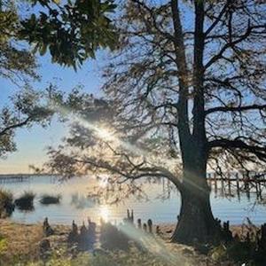 Photo #42 of Bay Drive, Kill Devil Hills, NC 0.2 acres