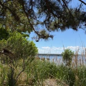 Photo #15 of Bay Drive, Kill Devil Hills, NC 0.2 acres